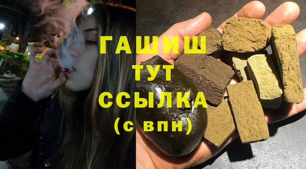 гашик Алексин