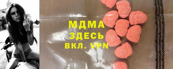 гашик Алексин