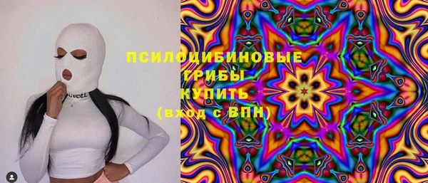 гашик Алексин
