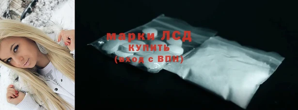 гашик Алексин