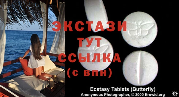 гашик Алексин