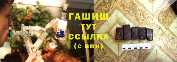 гашик Алексин