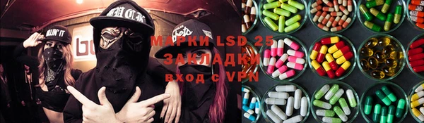 гашик Алексин