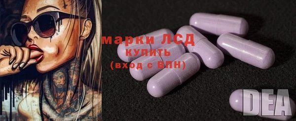 гашик Алексин