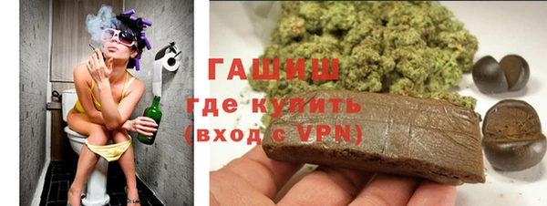 гашик Алексин